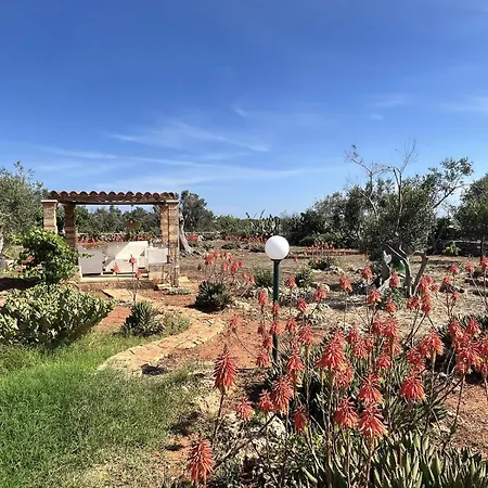 Regno Dei Cieli Puglia On Line Holiday home Capilungo